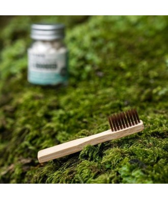 Brosse à dents de voyage