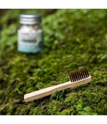 Brosse à dents de voyage